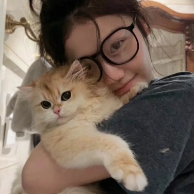 猫咪心动奇迹
