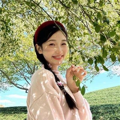 聪明的鸭子